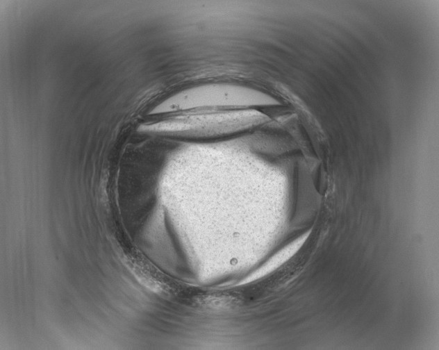 X0000077980209200611251354