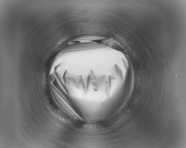 X0000077980211200611251354