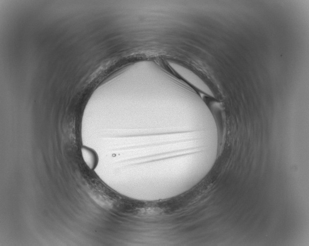 X0000077980212200611251354