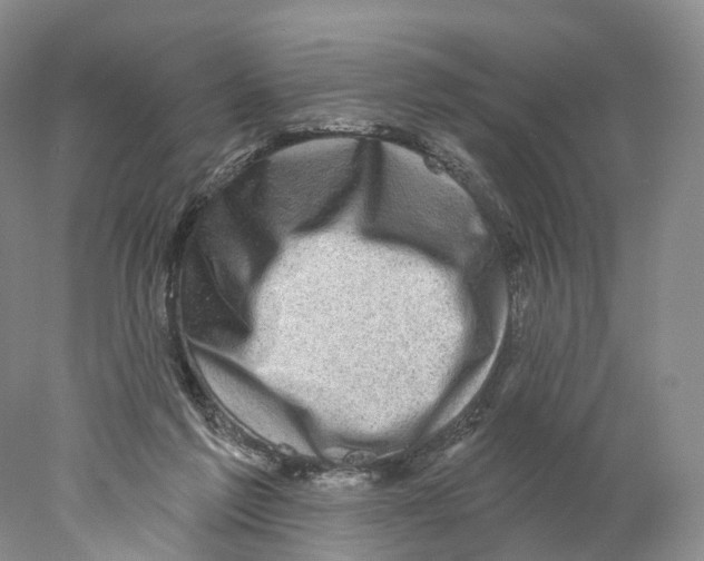 X0000077980213200611251354