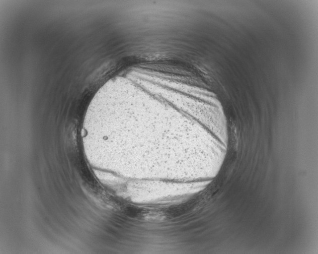 X0000077980214200611251354