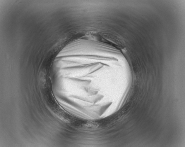 X0000077980215200611251354