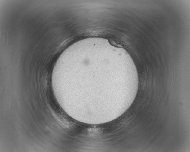 X0000077980216200611251354