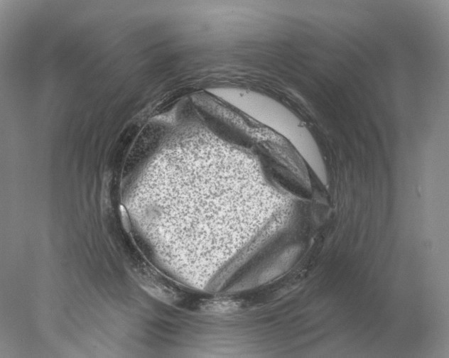 X0000077980217200611251354