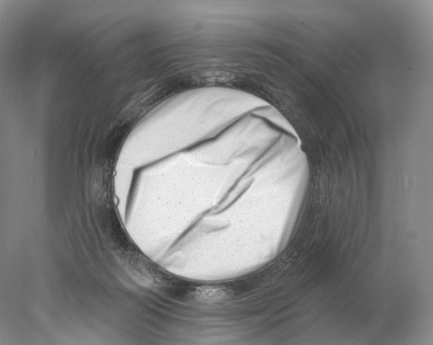 X0000077980218200611251354