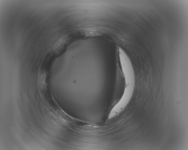 X0000077980219200611251354