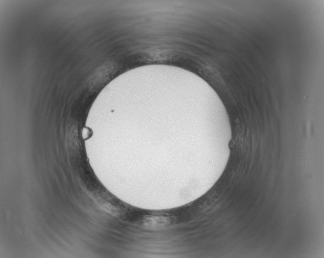 X0000077980220200611251354