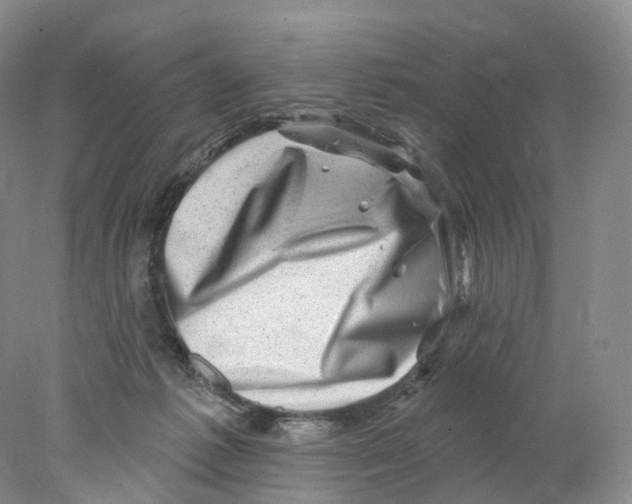 X0000077980221200611251354