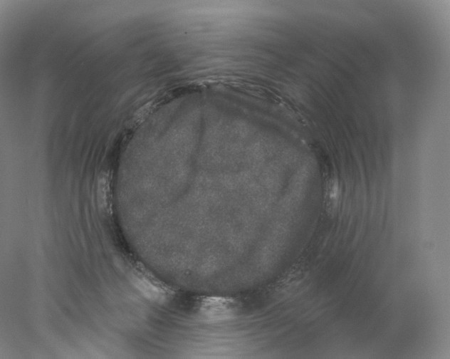 X0000077980222200611251354