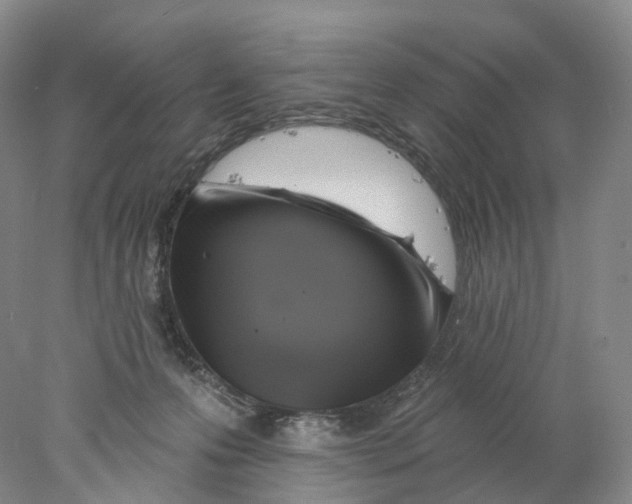 X0000077980223200611251354