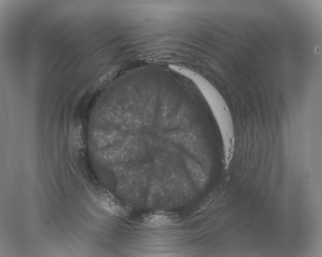 X0000077980224200611251354