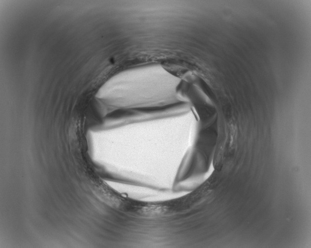 X0000077980225200611251354