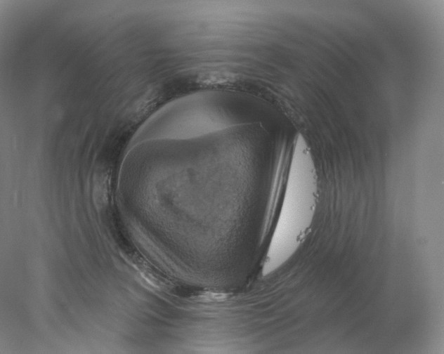 X0000077980227200611251354