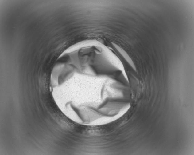 X0000077980228200611251353