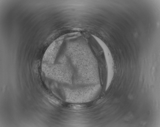 X0000077980229200611251353