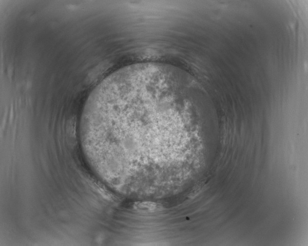 X0000077980230200611251353