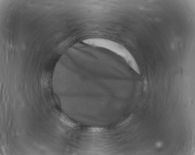 X0000077980233200611251353