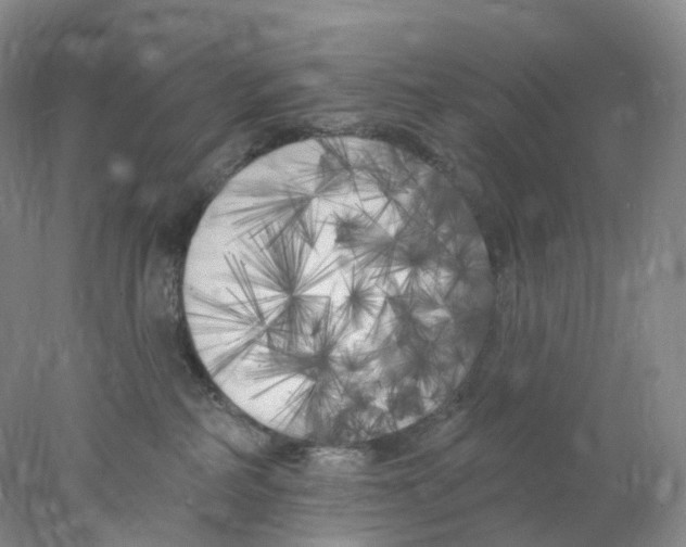 X0000077980234200611251353