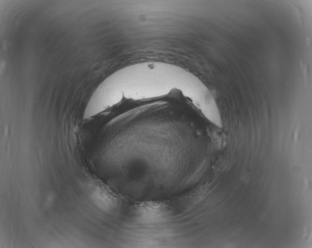 X0000077980235200611251353