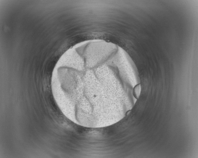 X0000077980236200611251353