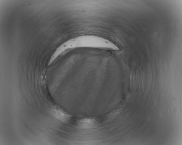 X0000077980237200611251353