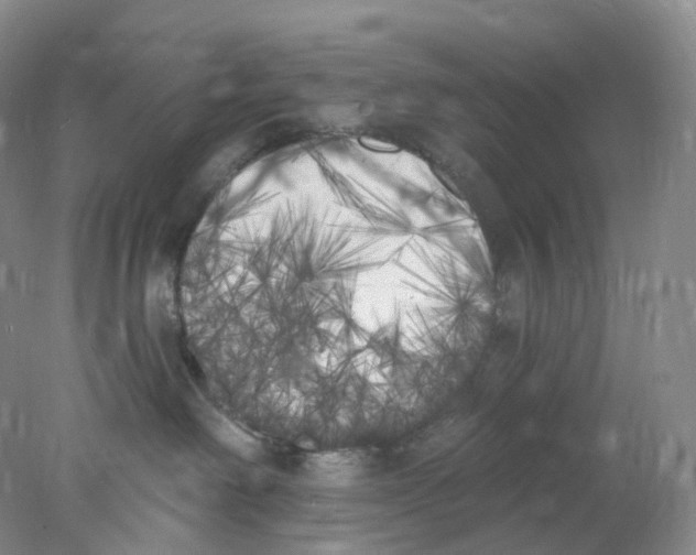 X0000077980238200611251353