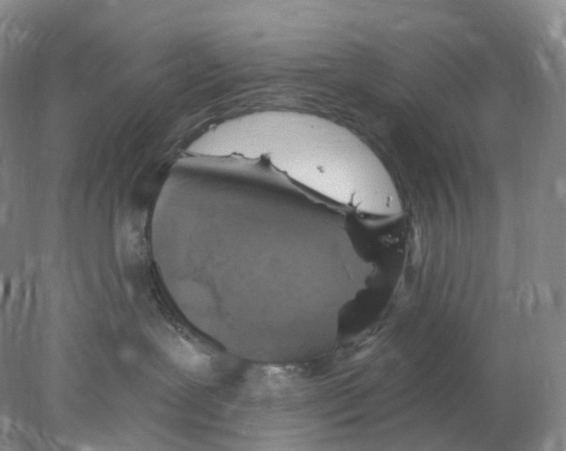 X0000077980239200611251353