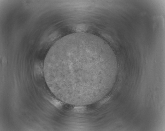 X0000077980240200611251353