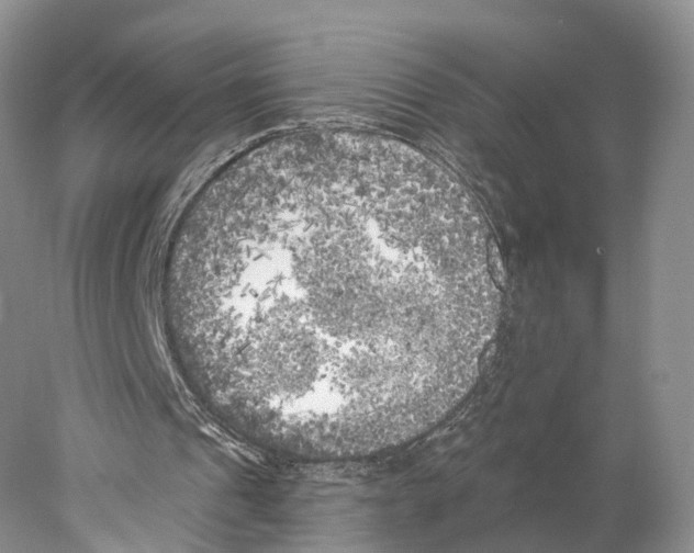 X0000077980241200611251352