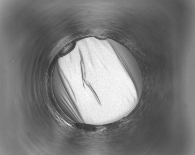 X0000077980242200611251353