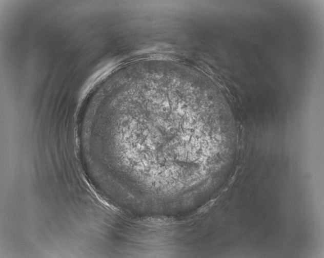 X0000077980245200611251353