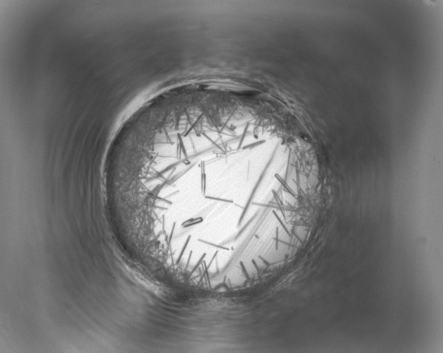 X0000077980246200611251353