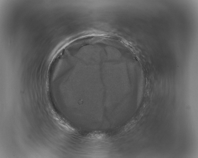 X0000077980247200611251353