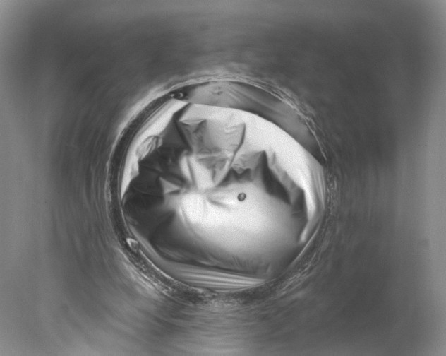 X0000077980248200611251353