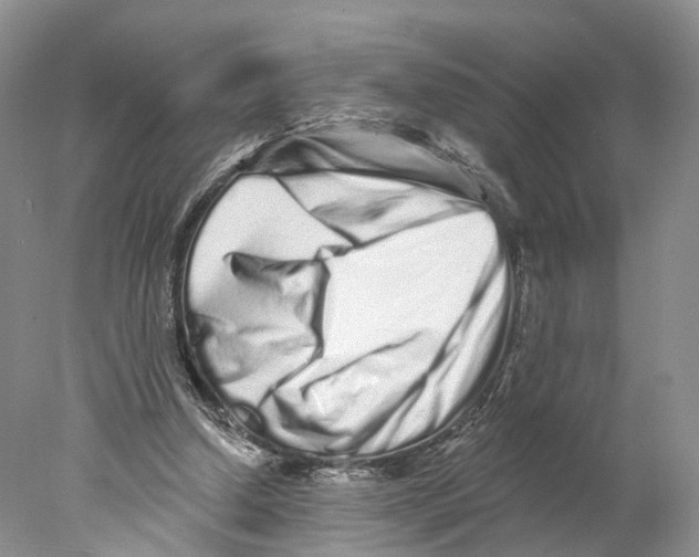 X0000077980250200611251353