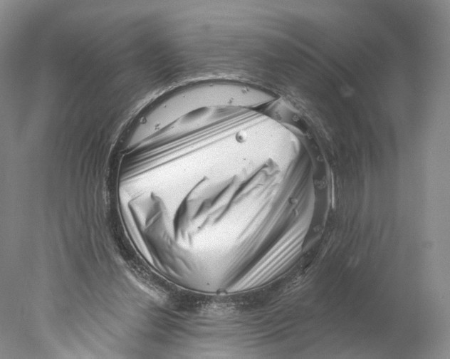 X0000077980252200611251353