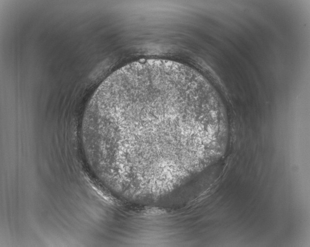 X0000077980257200611251353