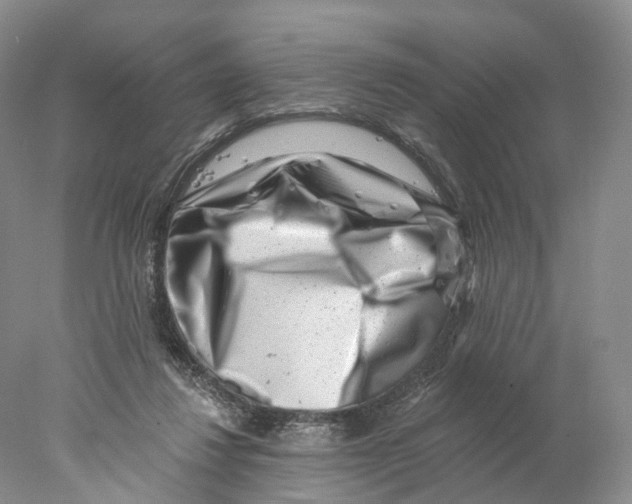 X0000077980260200611251353