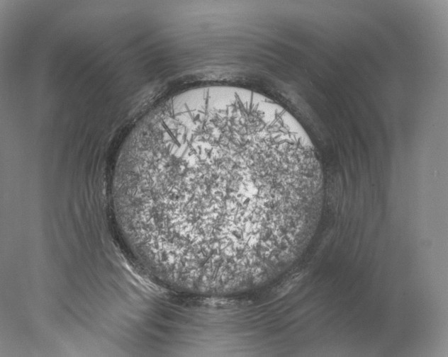 X0000077980261200611251353