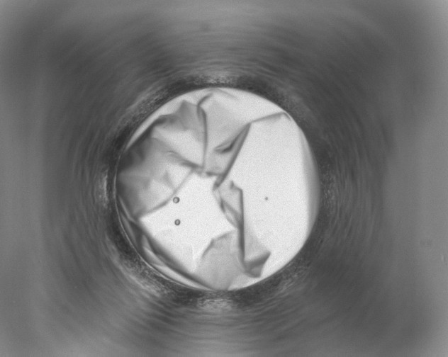 X0000077980262200611251353