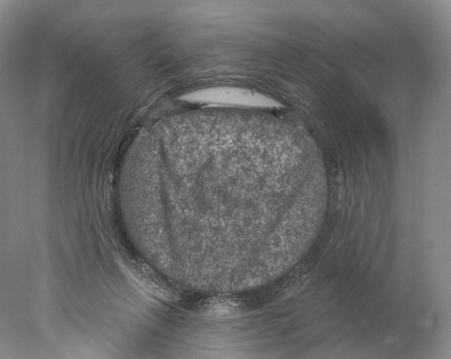 X0000077980263200611251353