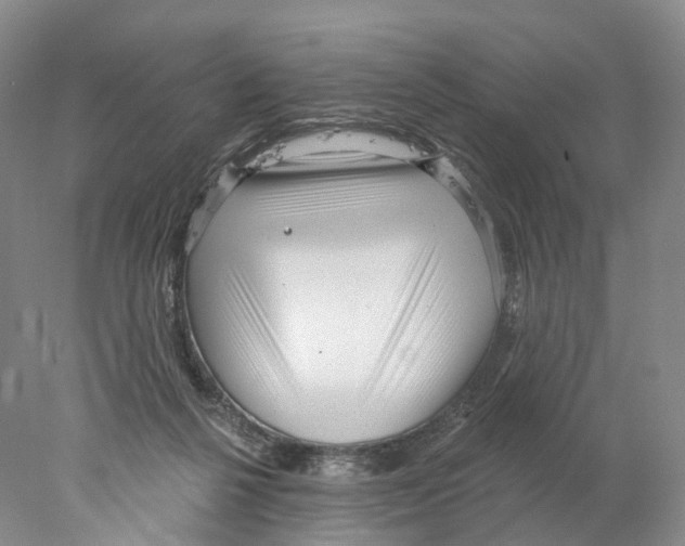 X0000077980264200611251353