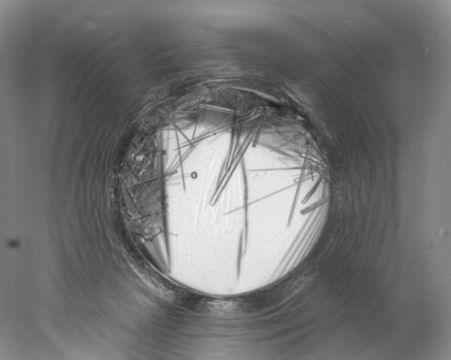 X0000077980265200611251353