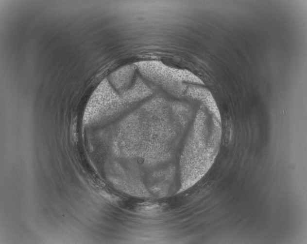 X0000077980267200611251353