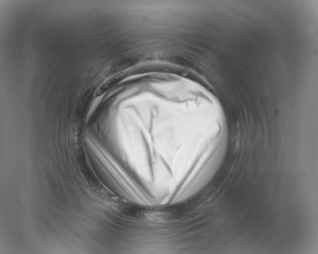 X0000077980268200611251353