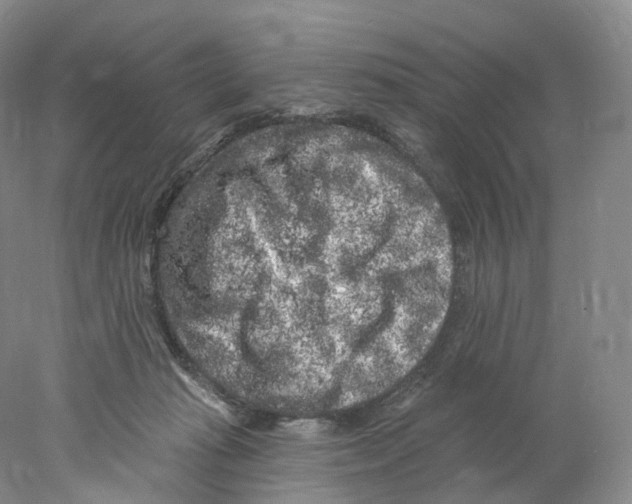 X0000077980269200611251353