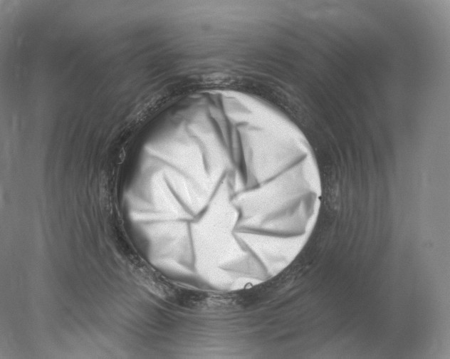 X0000077980270200611251353