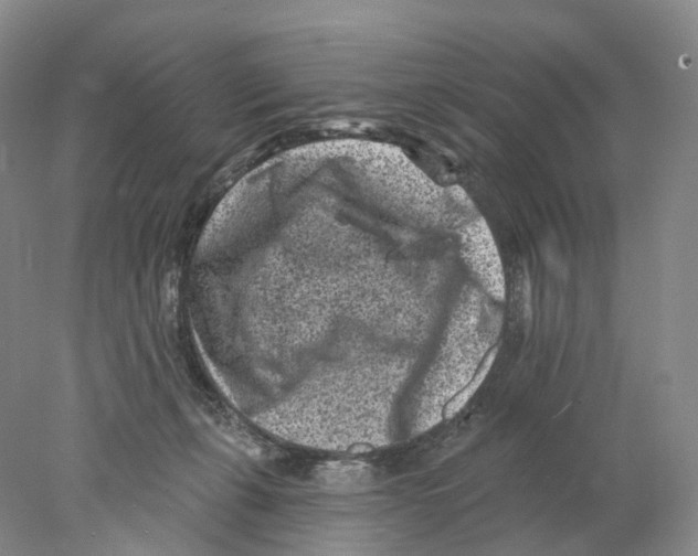 X0000077980271200611251353