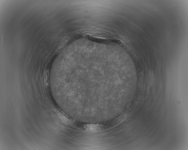 X0000077980273200611251353