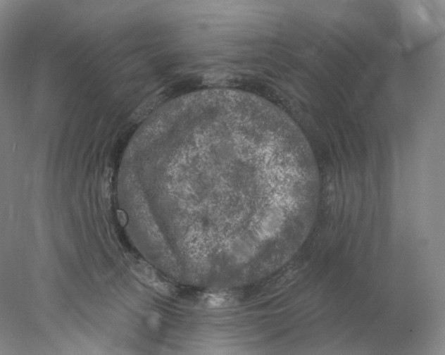 X0000077980275200611251353